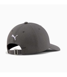 Puma Bristol Low Curve Grey Adjustable Cap