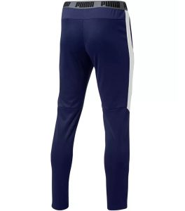 Puma Speed Men's Pants back