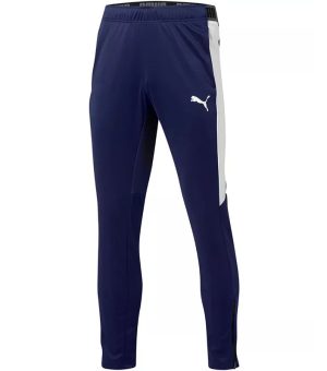Puma Speed Men's Pants