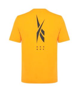 Reebok Graphic Back Orange Men T-Shirt back