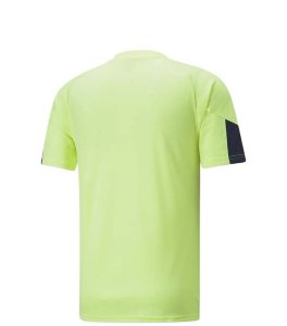 Puma Individual Final Men Jersey back