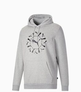 Puma Graphic Gray Men Hoodie