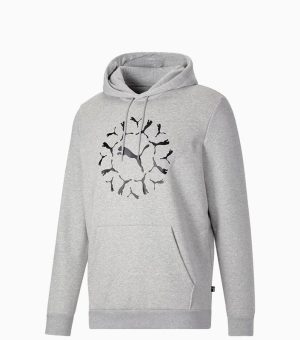 Puma Graphic Gray Men Hoodie