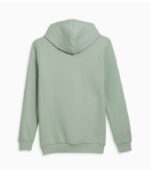 Puma Essentials Big Logo Men's Hoodie Back