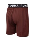 Puma Seamless 7inch Wine Men Shorts back
