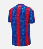 Crystal Palace 2024/25 Home Jersey back