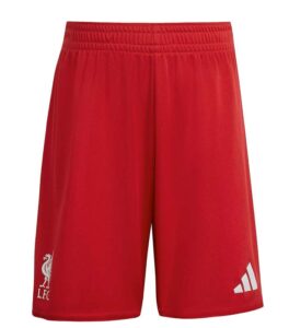 Liverpool Home Kids 2025-2026 Jersey down