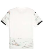 Portugal 2025 Men Away Jersey back