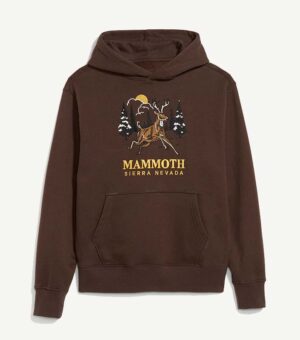 Old Navy Graphic Rotation Brown Hoodie