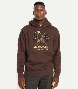 Old Navy Graphic Rotation Brown Hoodie front